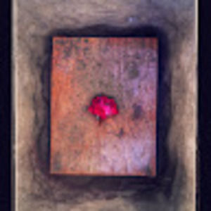 Meet your Posher, Timothy